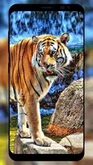 Tiger Wallpaper APK 下載