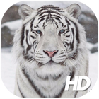 White Tiger Wallpaper-icoon