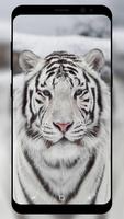 White Tiger Wallpaper تصوير الشاشة 1