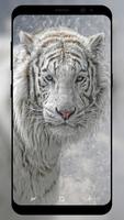 White Tiger Wallpaper Ekran Görüntüsü 2