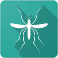 Aedes em Foco - UFC
