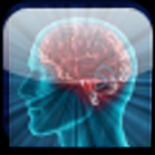 Brain age Test icône