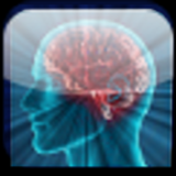 Brain Age Test-icoon