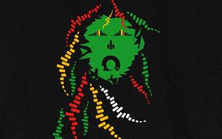 Rastafari Raggae wallpapers HD ภาพหน้าจอ 3