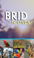 Briïds Sounds poster