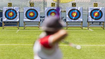 Archery  arc screenshot 3