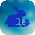 Smart Browser Downloader