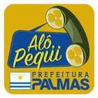 Alô Pequi - Palmas TO icône