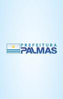 Alô Pequi - Palmas TO Affiche