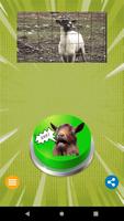 Scream Goat Button постер