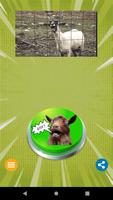 1 Schermata Scream Goat Button