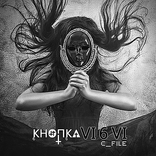 Кнопка VI6VI (C_File)