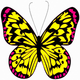 Butterflies Matching Game icône