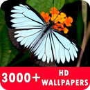 Butterfly Live Wallpapers HD APK