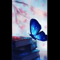 Best Butterfly Wallpaper HD Affiche