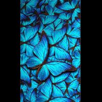 Best Butterfly Wallpaper HD capture d'écran 2