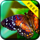 Butterfly Slow Motion LiveWP APK