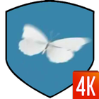 Butterfly Video Wallpaper icône