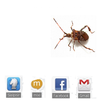 Bug Live Wallpaper APK
