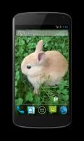 Bunny Free Video Wallpaper capture d'écran 1