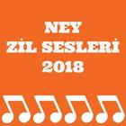 Ney Zil Sesleri 2018 icon