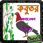 آیکون‌ কবুতর (রক্ষণাবেক্ষণ ও চিকিৎসা)