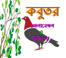 কবুতর (রক্ষণাবেক্ষণ ও চিকিৎসা) پوسٹر