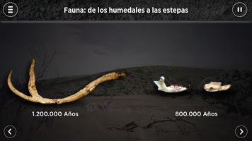 Museo de la Evolución Humana capture d'écran 3