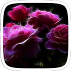 Burning Rose Theme ไอคอน