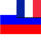 Французско-русский словарь ikon
