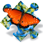 Puzzle de papillon gratuit icône