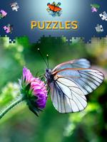 Puzzle de papillon gratuit Affiche