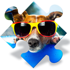 Dogs Jigsaw Puzzle Games icon
