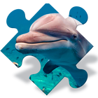 Free Dolphin Jigsaw Puzzles icon