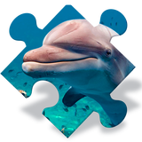 Jeux de puzzle de dauphin icône