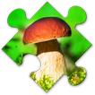 Mushrooms Puzzles:nature jigsa