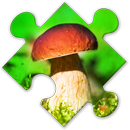 Mushrooms Puzzles:nature jigsa APK