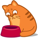Cats Widget APK
