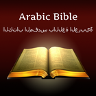 Arabic Holy Bible icône