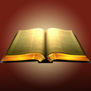 Study Hungarian Bible Offline APK