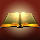 Study Hungarian Bible Offline icône