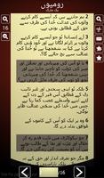 Urdu Holy Bible: انجیل مقدس ภาพหน้าจอ 3