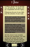 Holy Bible King James Version capture d'écran 3