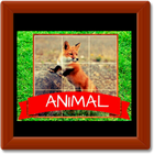 Animal Puzzle King icône
