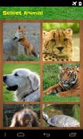 Animal Puzzle King 截图 1