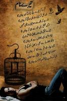 Sad Poetry In Urdu capture d'écran 1
