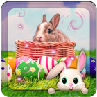 4k Live Bunny Wallpaper HD icon