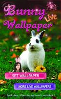 4k Live Bunny Wallpaper HD โปสเตอร์