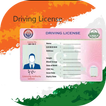 Fake Driving Licence For India