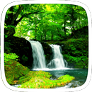 Go green Theme APK